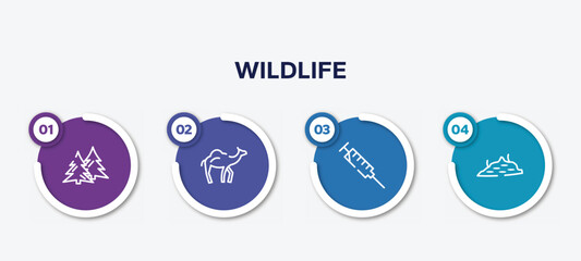 infographic element template with wildlife outline icons such as spruce, dromedary, syringe, moss vector.