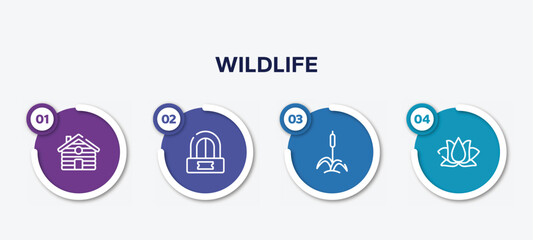 infographic element template with wildlife outline icons such as cabin, ticket office, cattail, lotus vector.