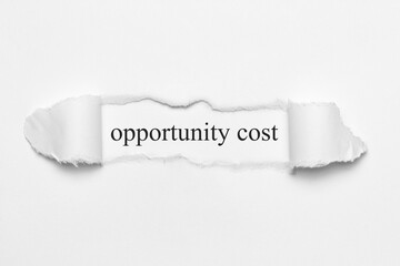 opportunity cost	