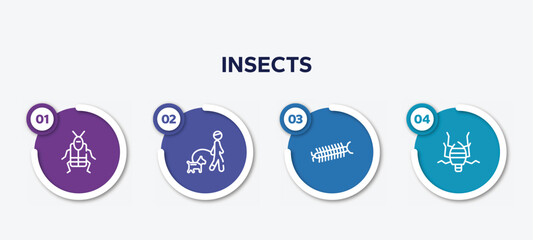 infographic element template with insects outline icons such as crioceris, walking the dog, centipede, bedbug vector.