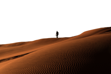 person walking in the desert