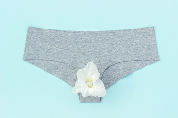 Gray panties and white flower on blue background, close up. Keep your vagina healthy and happy, Women health concept,. Top view Flat lay