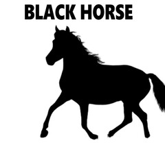 Obraz na płótnie Canvas silhouette of a horse