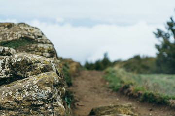 Close-up of rock in the road in the nature