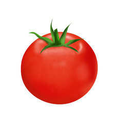 Isolated red tomato.Realistic tomato Illustration