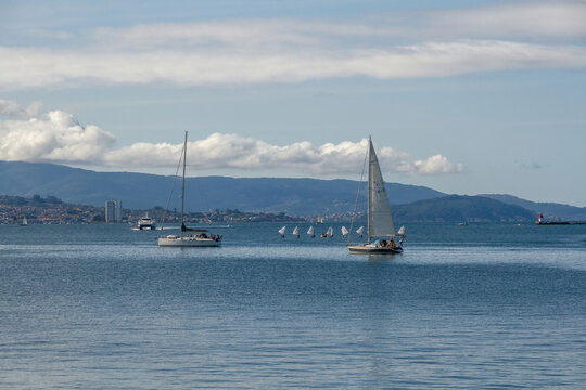 Sports Competition Of Boats Or Sailing Boats In The Sea, Cangas, Vigo, Galicia, Spain 