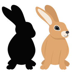 Fototapeta premium rabbit, hare on white background, isolated