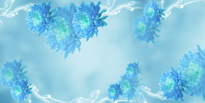 romantic blue background with blue daisy chrysanthemum with whire frame decoration lik flowery background 