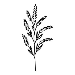 Flower one doodle contour silhouette dark line, no colors, isolated, element design.