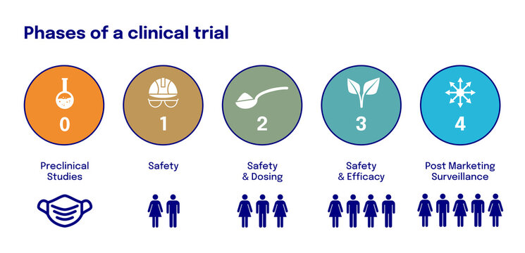 Phases of a clinical trial illustration with icons, description and people