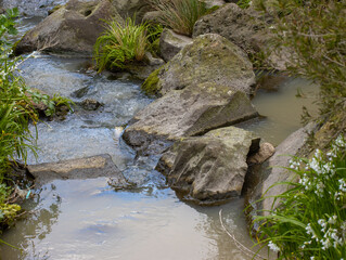Fototapeta na wymiar river creek in a Melbourne park running water rocks and plants