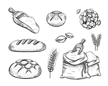 Bread sketch set. Vector bakery. Vintage food. Wheat loaf, flour bag with shovel, bun, ear illustration. Hand drawn icon set. Doodle sketch bread collection. Vintage black lines isolated on white.
