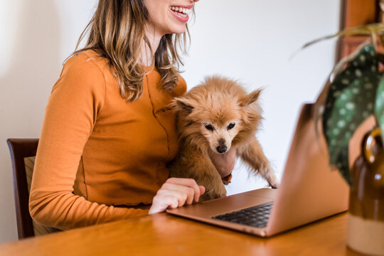 woman using computer at home