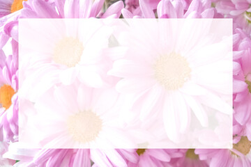 A greeting card with pink chrysanthemum flowers and a place for text. Mockup.