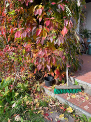 Herbst, Herbstlaub, Besen, Garten, 