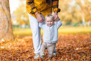 Little baby first steps, first autumn concept. Young mother helps her little daughter to walk. Family time - obrazy, fototapety, plakaty