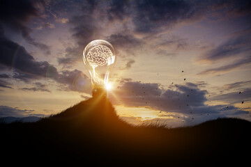 human brain in Light bulb on sky background. idea business concept.