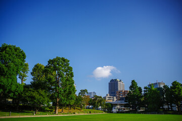 あおぞらと芝生広場