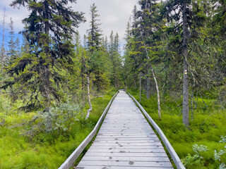 Fototapeta na wymiar Wanderweg im Fulufjället Nationalpark in Schweden