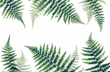 Foliage seamless pattern of colorful fern leaves. Watercolor floral illustration on white background. Watercolor fern leaves 
