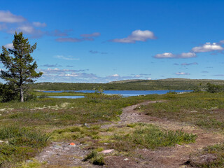 Blick über das Fulufjäll, Schweden, Dalarna