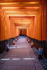 View through the gates at Mount Inari in Kyoto, Japan. Beautiful shadow play between the orange wooden gates at the holy mountain. 