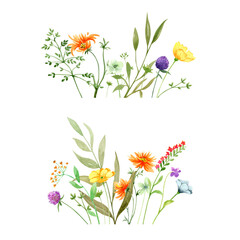 Watercolor set of flowers and leaves border, isolated on transparent background