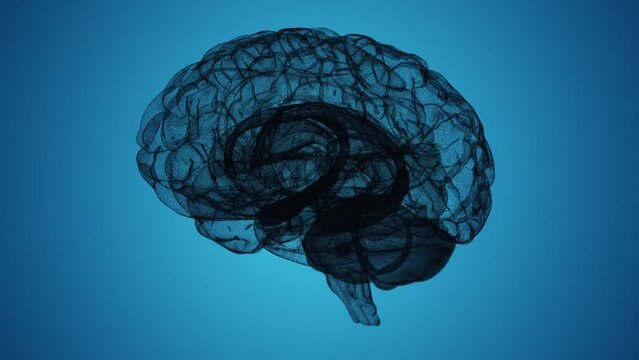 Seamless Loop of a Wireframe 3D Brain Model on Blue Background