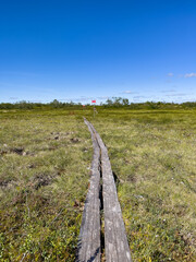 Wanderweg im Fulufjället Nationalpark in Schweden