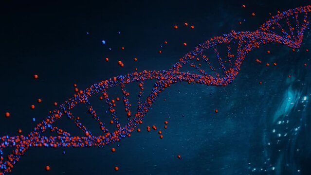 Animation of the helical structure of red and blue colored alien DNA molecules rotates a loop on a dark background 3d render. High quality 4k footage.