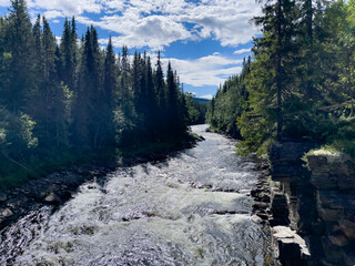 Am Hällingsåfallet am Vildmarksvägen im Jämtland, Schweden 
