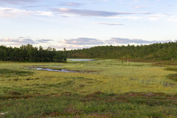 Landschaft am Flatruetvägen in Schweden