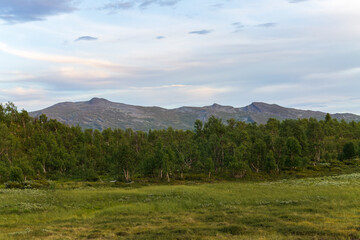 Fototapeta na wymiar Landschaft am Flatruetvägen in Schweden