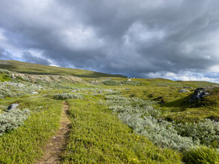 Landschaft nahe des Stekenjokk Plateau am Vildmarksvägen in Lappland, Schweden