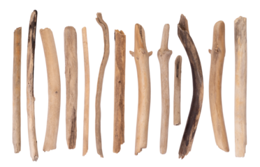 Pieces of drift wood isolated on transparent background