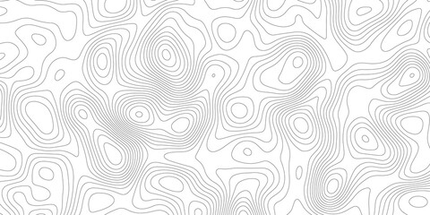 Topographic contour map. Vector cartography illustration. Topography and geography map grid abstract backdrop. Business concept. Fish Fillet Texture, Salmon fillet texture, fish pattern. paper texture