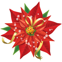 Сhristmas decoration Poinsettia