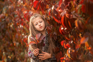 a girl with leaves in her hands in autumn park