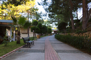 A beautiful stone path in a park with palm trees leading to the sea.