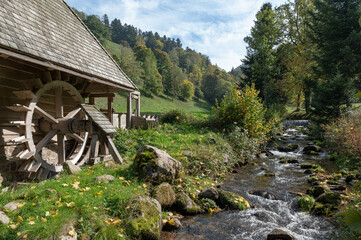 Mühle im Schwarzwald - 536755057