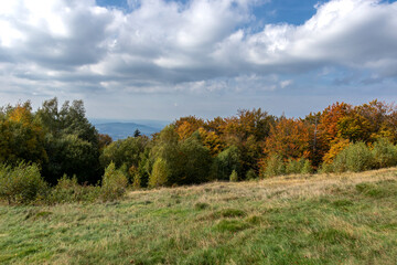 Fototapeta na wymiar Landscape with meadow and autumn trees 