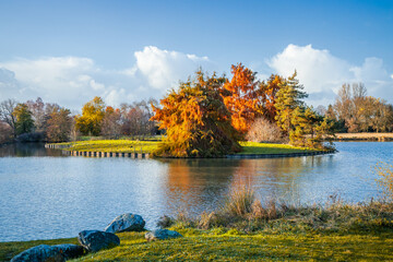 Colored bald cypress trees on an island and artificial pond in the Parc Floral in Bordeaux, France
