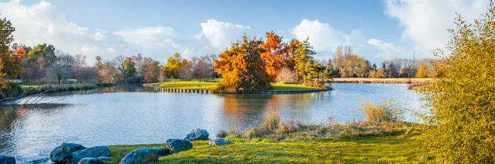 Farbige kahle Zypressen auf einer Insel und einem künstlichen Teich im Parc Floral in Bordeaux, Frankreich © JeanLuc Ichard