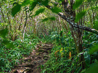 Island La Réunion