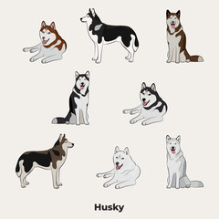 Husky drawing. Cute dog characters in various poses, designs for prints adorable and cute cartoon vector sets, in different poses. All popular colors. Husky symbol.