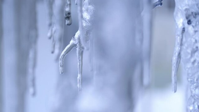 Beautiful dripping icicles in January in winter, Aomori Prefecture in Japan, Nature or weather background	