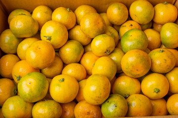 sweet and sour fruit tangerine