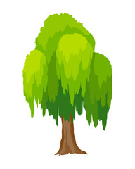 Tree. Eco concept of nature plant.  flat green willow tree icon isolated on white background. Garden botanical element © the8monkey