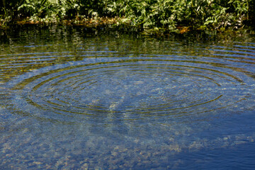 Round droplets of water over circles on the pool water. Water drop, whirl and splash. Ripples on...