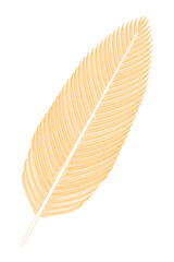Bird Feather (yellow). Vector illustration.